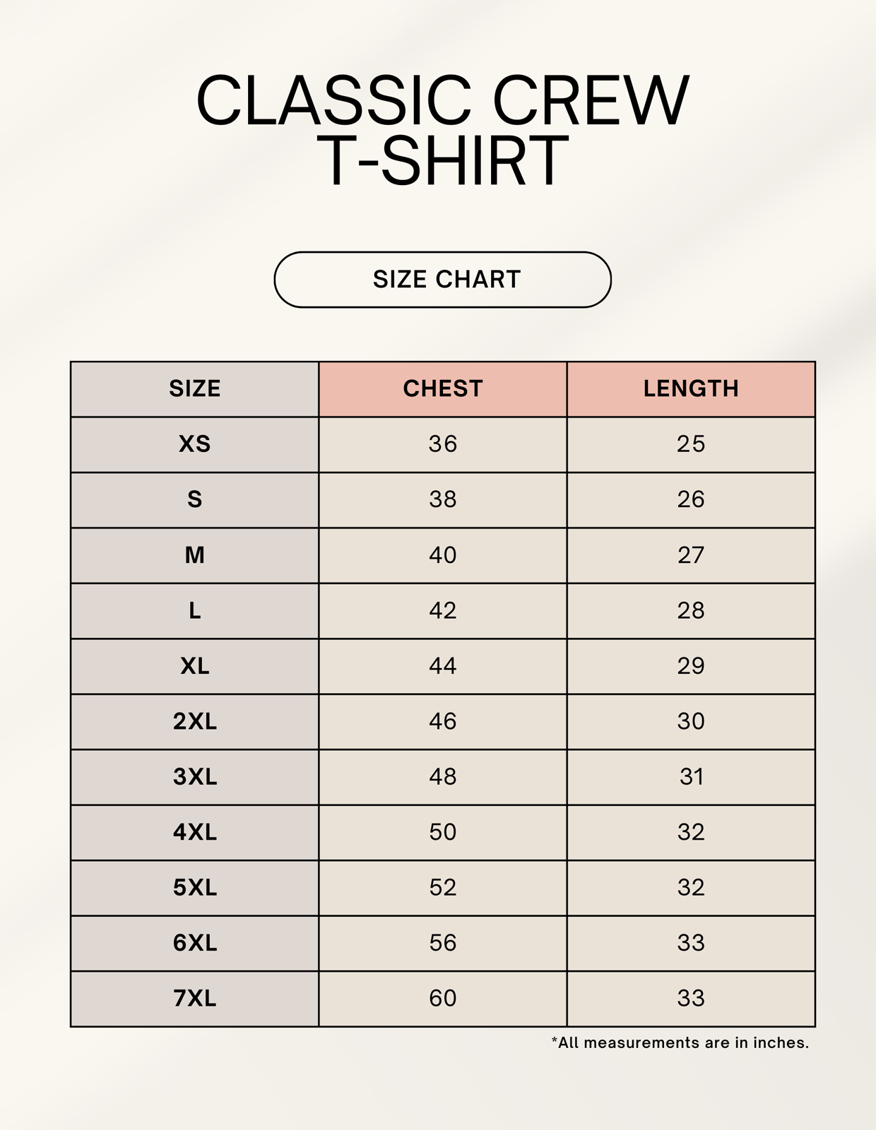 india T-Shirt