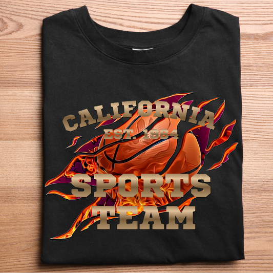 CALIFORNIA SPORTS TEAM Crew T-Shirt